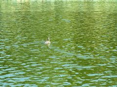 -朝阳公园游乐园