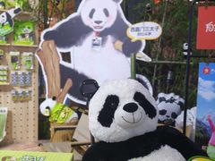 -国家会展中心
