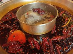 -小龙翻大江文化火锅(宽窄店)