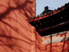 -重庆市江北嘴中央商务区中央公园