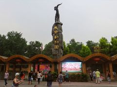 -成都动物园