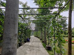 -洪湖家庭农场·团建·露营·会议