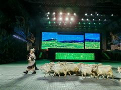 -深圳锦绣中华民俗村