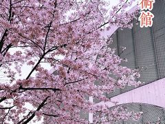 -龙美术馆(西岸馆)