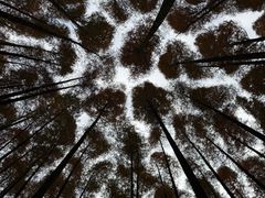 -山王坪喀斯特国家生态公园