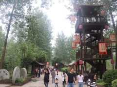 -合肥滨湖国家森林公园