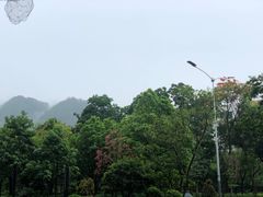 -天瑞轩·粤菜餐厅