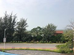 -北海金海湾红树林生态旅游区