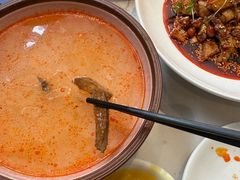 -院8里·少城记忆老川菜(宽窄巷子店)