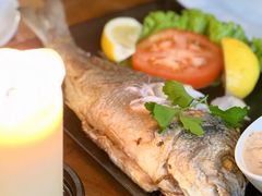 -NORDSEE Frankfurt Fisch Franke