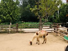 -北京市海淀外国语实验学校