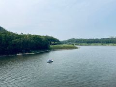 -惠州白鹭湖雅居乐喜来登度假酒店-采悦轩中餐厅