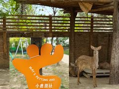 -圣露庄园·露营·烤肉·亲子