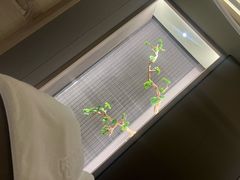 -臻品足道(佛祖岭店)