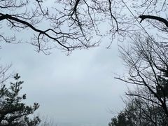 -惠山国家森林公园