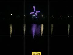 -荷兰花海