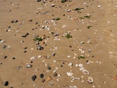 -东戴河风景区-止锚湾