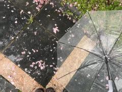 -西北大学(桃园校区)