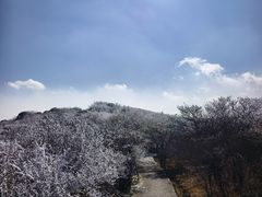 -大围山国家森林公园
