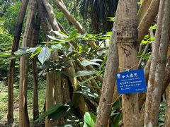 -中国科学院西双版纳热带植物园
