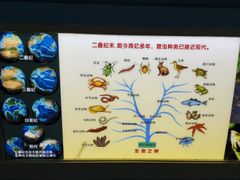 -上海昆虫博物馆