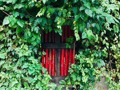 -斯多格书乡(北京大学畅春园店)