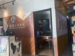 -美联众合宠物医院·爱萌分院·内外科·猫科中心