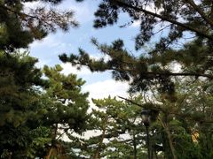 -棒棰岛宾馆景区