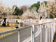 -国际非物质文化遗产博览园