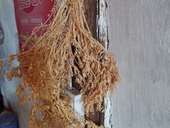 -胖金妹鸡豆凉粉店