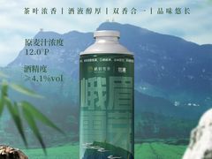 -成都峨眉雪芽大酒店