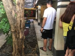 -巴厘岛黄金金兔咖啡工厂