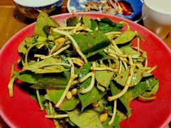 薄荷叶拌折耳根-雀舞云南菜(天津天河城购物中心店)