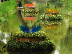 -上海共青森林公园