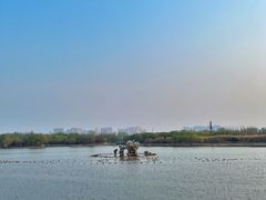 -大兴滨河森林公园