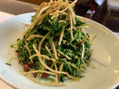 巧拌豆苗-天和晟烤鸭店(玉泉西街店)