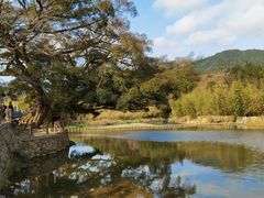 -云水谣景区