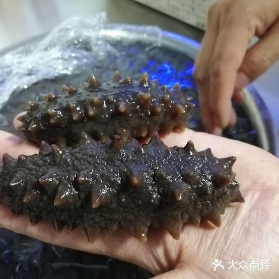 乾茂饭店