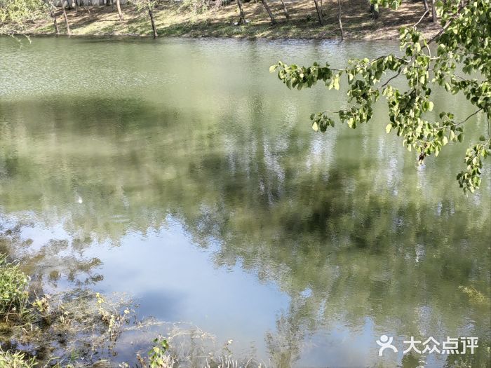 坝河休闲公园图片