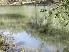 -坝河休闲公园