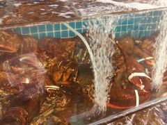 -范饭椰林川湘味海鲜·椰子鸡(三亚湾椰梦长廊店)