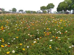 -歌斐颂巧克力小镇