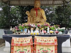 -上海佘山国家森林公园天马山园