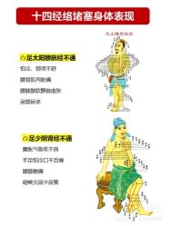 -香薇妮丝女子减肥院