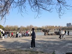 -洛阳市隋唐城遗址植物园