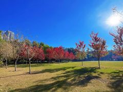 -哈尔滨文化公园