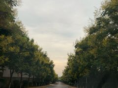 -西安关中民俗艺术博物院