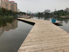 -雁滩公园