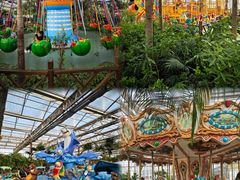 -南宫五洲植物乐园