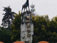 -成都动物园